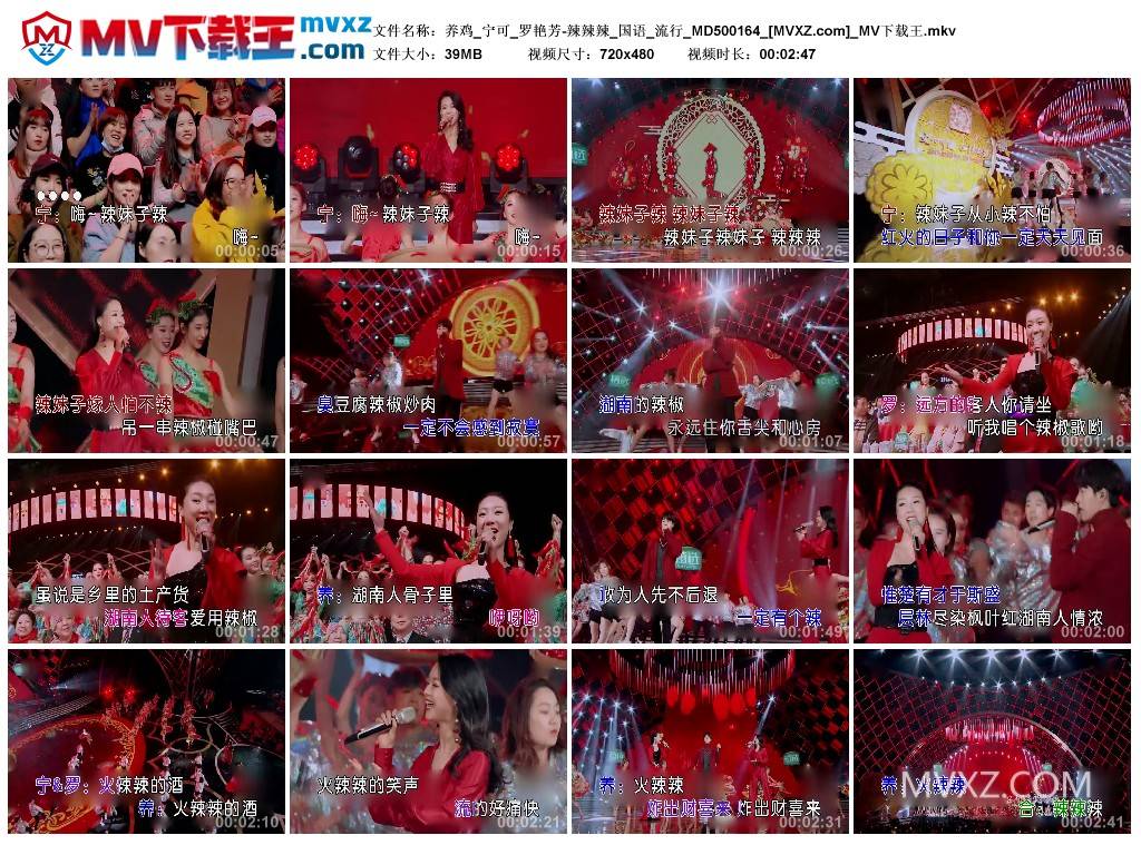 养鸡_宁可_罗艳芳-辣辣辣_国语_流行_MD500164